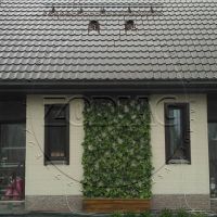 IMG-20180326-WA0087