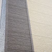 IMG_7317a