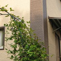 IMG_7326a