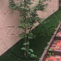 AE10-004-_photo_2018-10-02_15-00-58